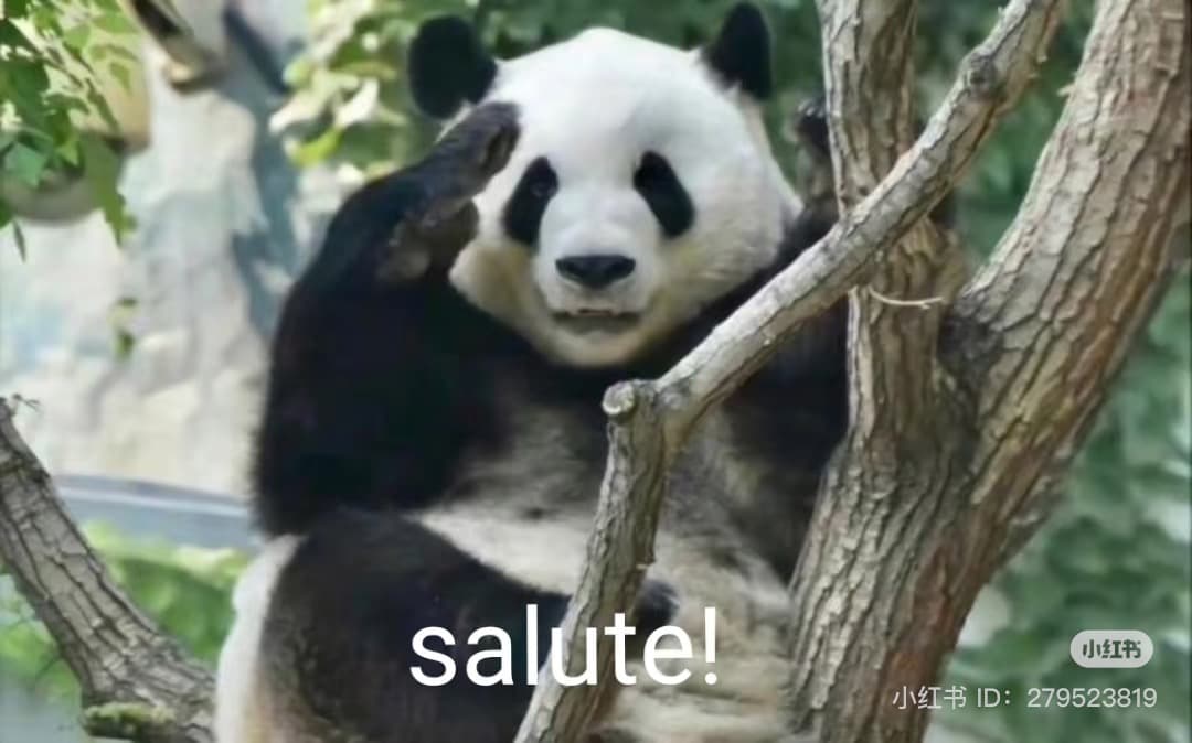 Funny congratulatory meme